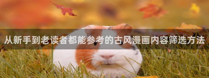 漫漫漫画网站入口